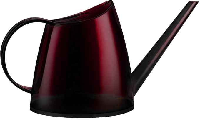 Pielęgnacja storczyka