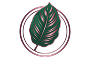Calathea Ornata logo