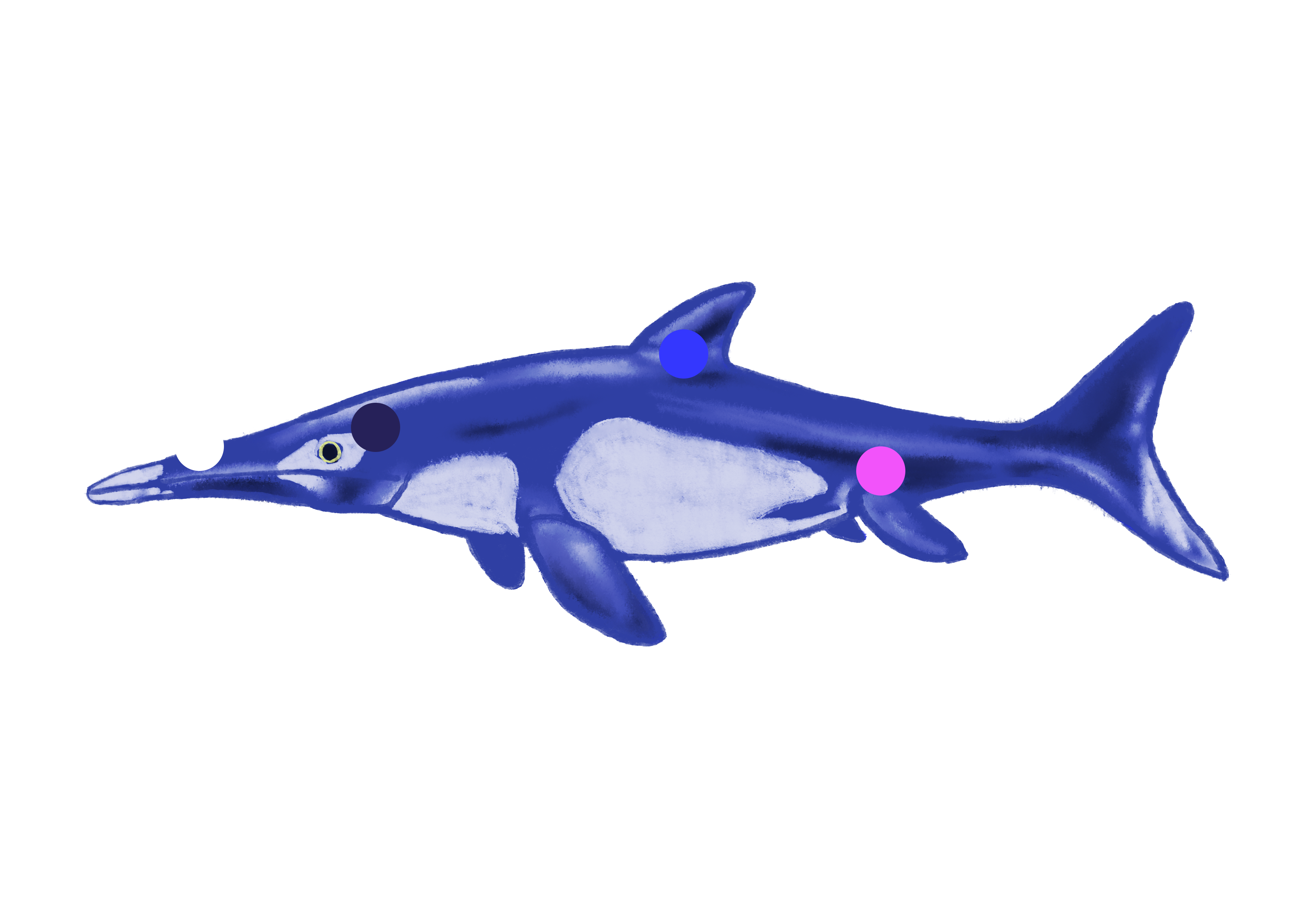Ichthyosaurus