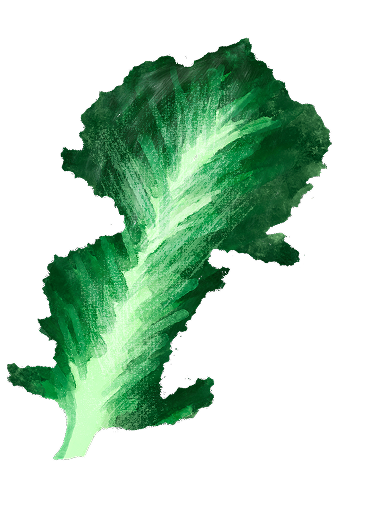 jarmuz