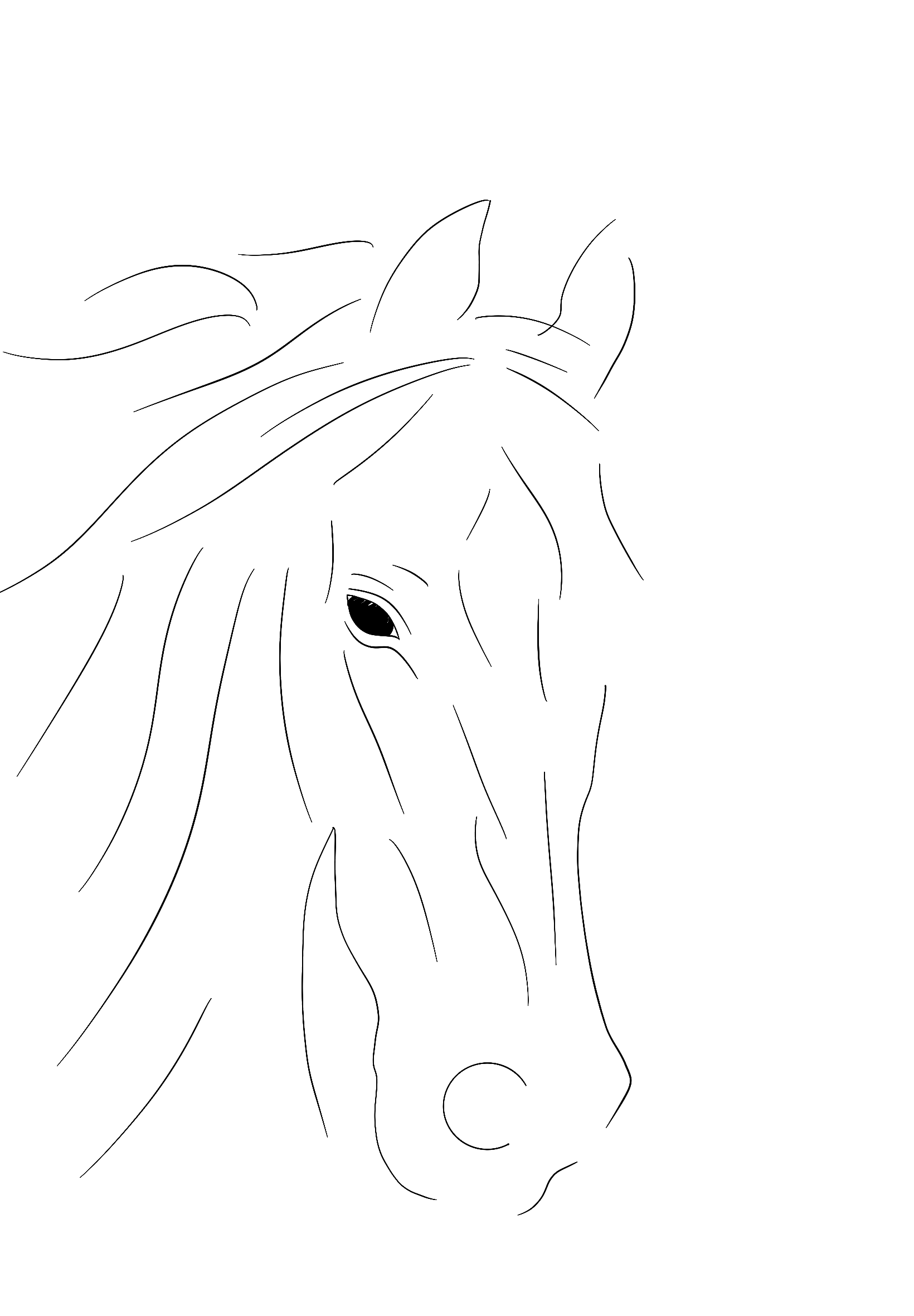 Konie
