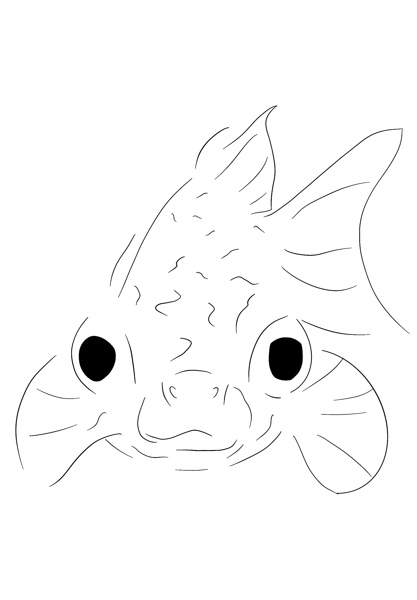 Ryba