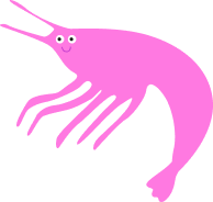 Plankton