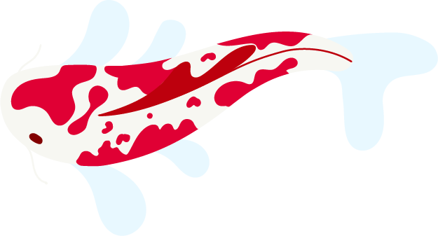 Koi fish