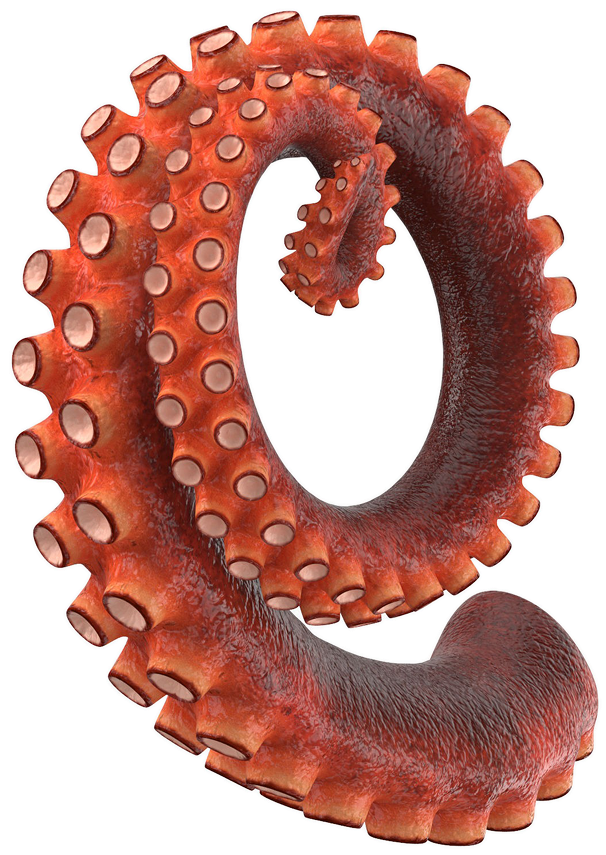 arms1
