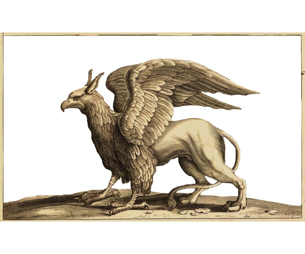 gryfon_1