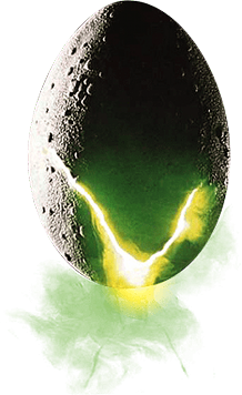 Egg