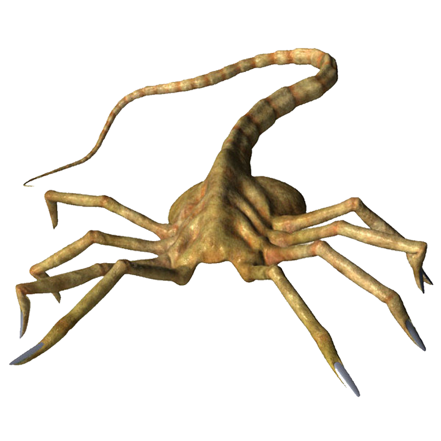 Facehugger